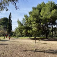 Parque de Calistenia #wp3181 - thumbnail 2