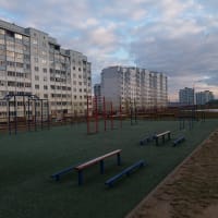Calisthenics Park at Саломенкаўская вуліца, Гродна - thumbnail 2