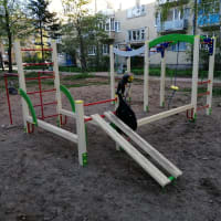 Calisthenics Park at улица Строителей, Дно #wp3325 - thumbnail 2