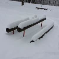 Parc de calistenică #wp3349 - thumbnail 7