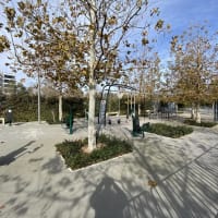 Parc de calistenică #wp3352 - thumbnail 10