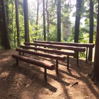 Parc de callisthénie #wp3369 - thumbnail 2