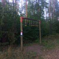 Calisthenics Park #wp3371 - thumbnail 2