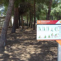 Parc de calistenică #wp3397 - thumbnail 2