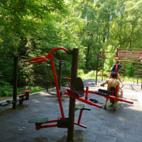 Calisthenics Park #wp3467 - thumbnail 6