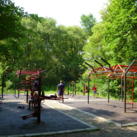 Calisthenics-Park #wp3467 - thumbnail 7