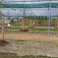 Calisthenics-Park #wp3472 - thumbnail 4