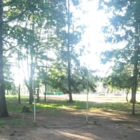 Calisthenics Park at Тулонская аллея, Кронштадт - thumbnail 3