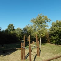 Calisthenics-Park #wp3521 - thumbnail 13