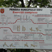 Воркаут-парк #wp3712 - thumbnail 3