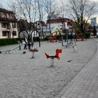Parc de callisthénie #wp3712 - thumbnail 2