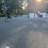 Calisthenics Park #wp3723 - thumbnail 2