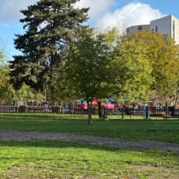 Calisthenics Park #wp3726 - thumbnail 2