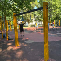 Calisthenics-Park #wp3738 - thumbnail 2