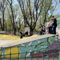 Herastrau Skate Park - thumbnail 2