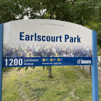 Earlscourt Calisthenics Station - thumbnail 6