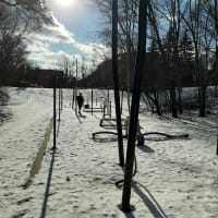 Lawrence Park - Calisthenics - thumbnail 3