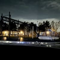 Parcul Tineretului - thumbnail 6