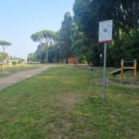 Calisthenics park — Gym - thumbnail 2