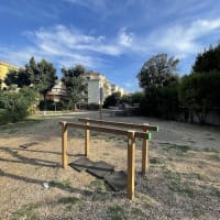 Parco Calisthenics — Gym