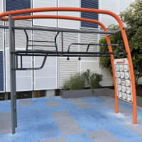 Outdoor Calisthenics Park — Park