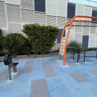 Outdoor Calisthenics Park — Park - thumbnail 2