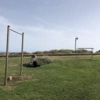 Calisthenics park — Park - thumbnail 3