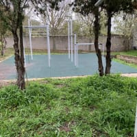 New Age Parco Calisthenics — Park - thumbnail 2