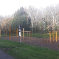 Calisthenics & functional fitness area Tymon park — Gym - thumbnail 2