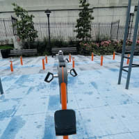 Maspeth Park — Park - thumbnail 3
