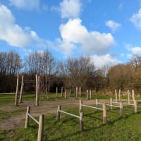 Calisthenics, outdoor gym — Gym - thumbnail 5