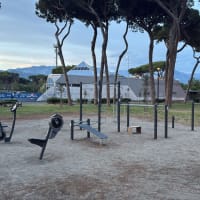 Calisthenics Park at Viale Cristoforo Colombo, Carrara - thumbnail 1