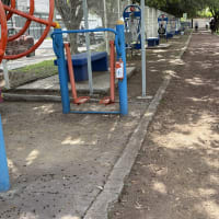 Calisthenics Park at Avenida Vicente Guerrero, Irapuato - thumbnail 3