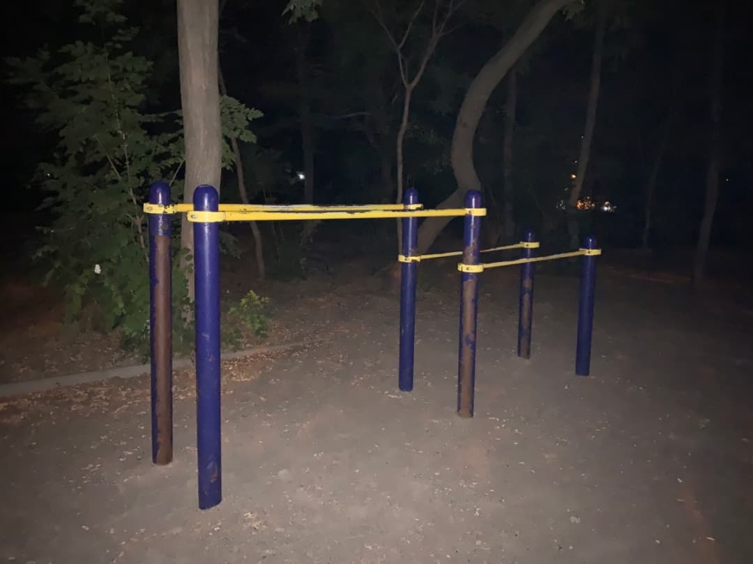 Платформа для прыжков на площадке Calisthenics Park at Траса здоров’я, Одеса – фото 5 из 7