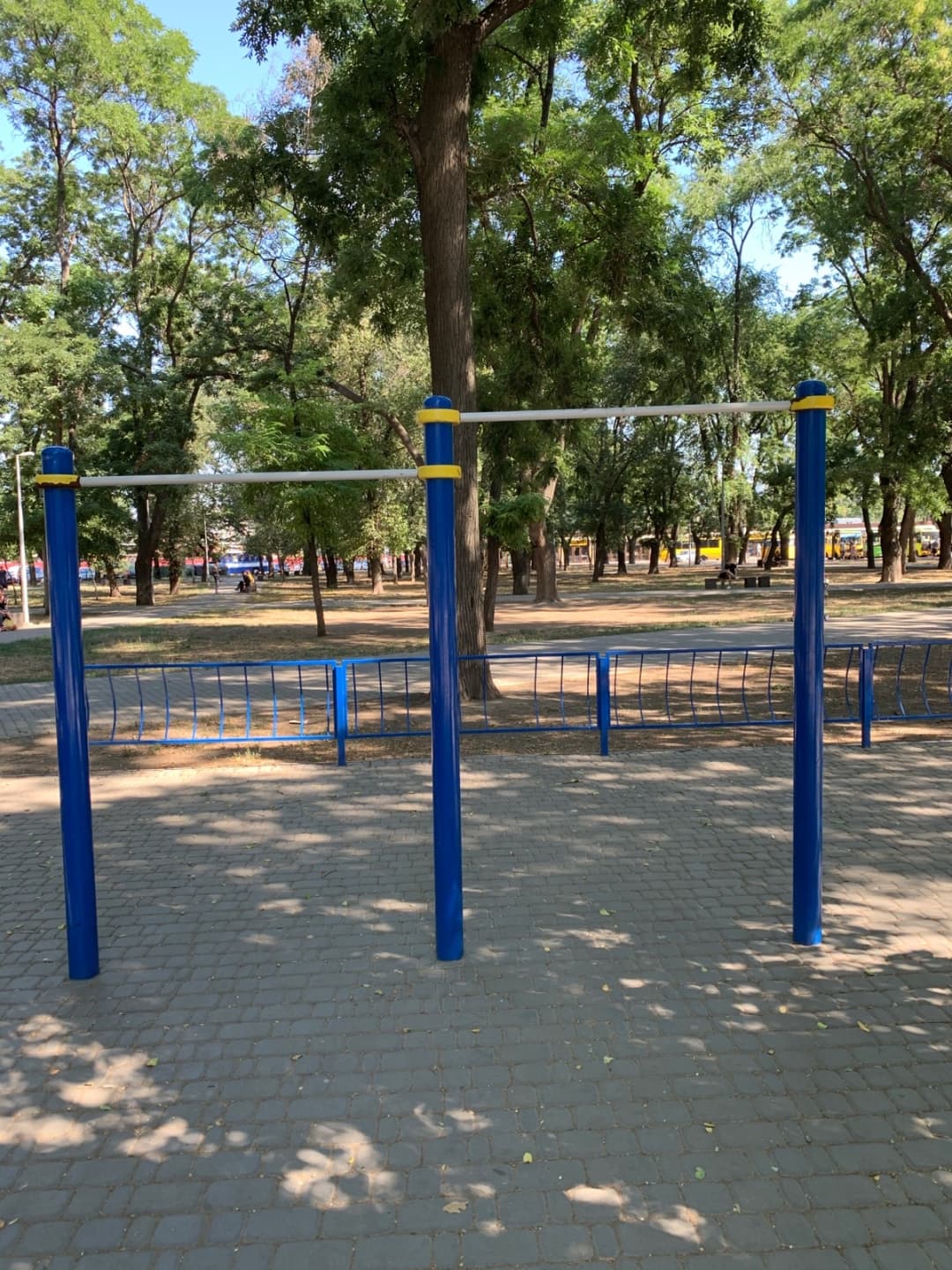 Sprossenwand bei Calisthenics Park at Старосінна площа, Одеса – Foto 4 von 6