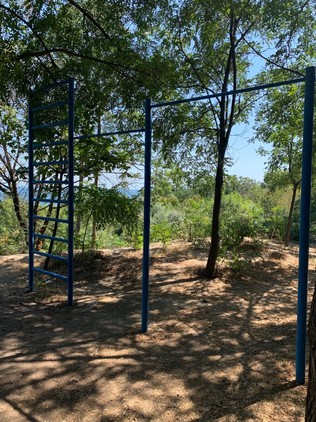 Брусья на площадке Calisthenics Park at Чорноморська вулиця, Одеса – фото 1 из 2