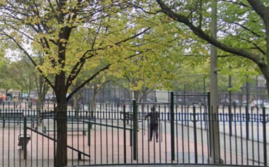Pull Up Bar at Calisthenics Park at 78th Street, City of New York – photo 1 of 1