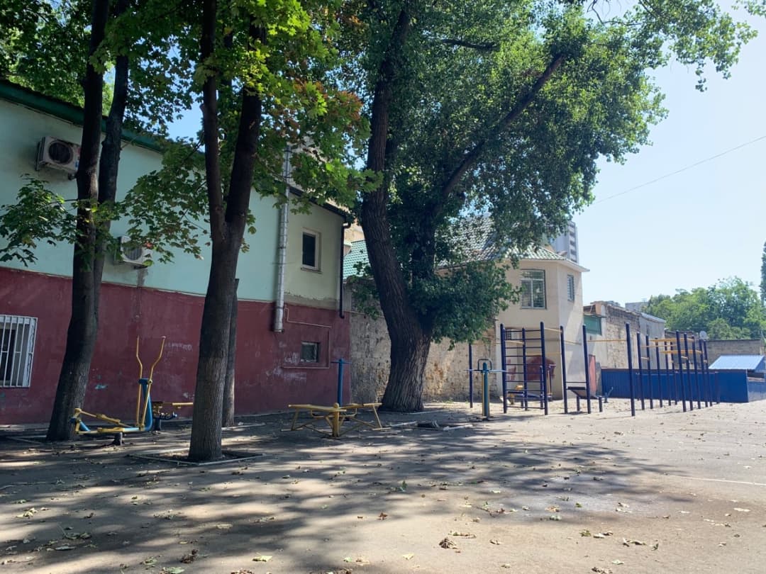 Шведська стінка на майданчику Calisthenics Park at Пироговська вулиця, Одеса – фото 4 з 4