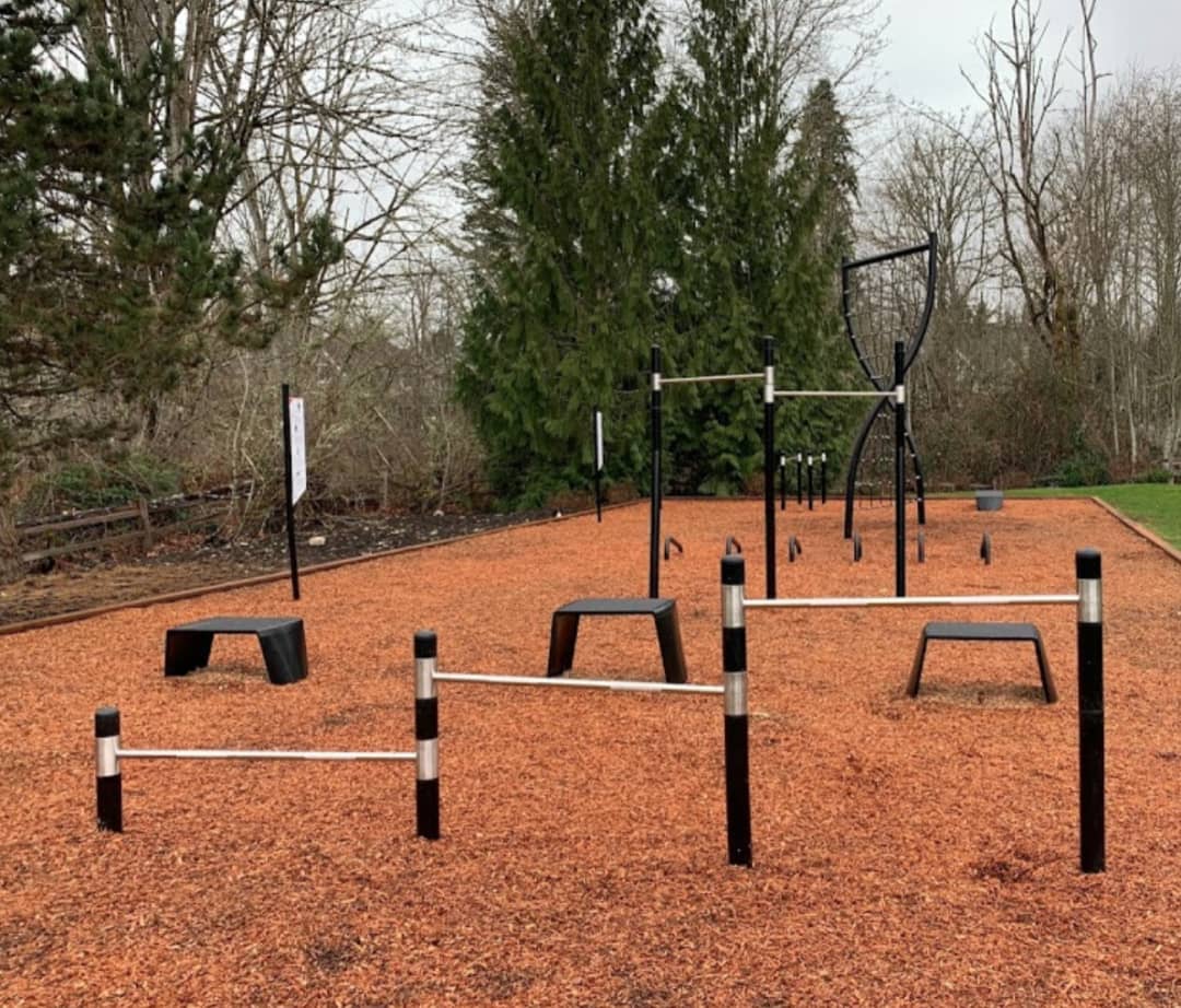 Barre de pompes à Calisthenics Park at Southeast 11th Street, Sammamish – photo 1 sur 1