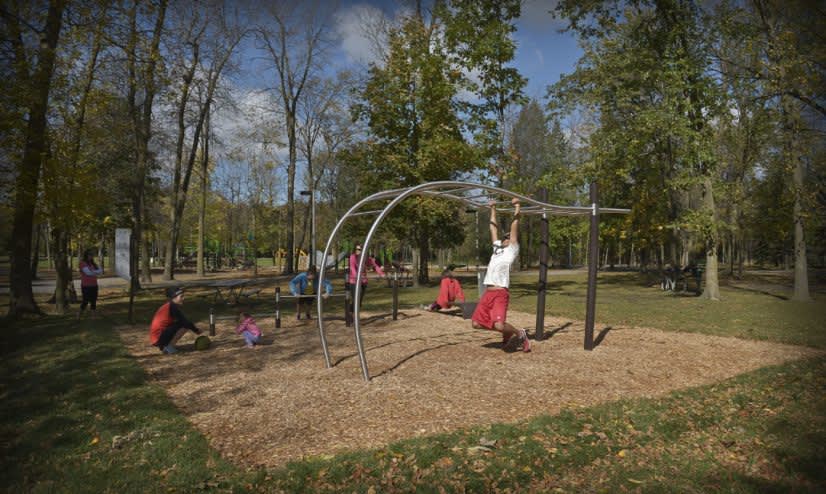 Plateforme de saut à Calisthenics Park at Boulevard Curé-Poirier Est, Longueuil – photo 1 sur 1
