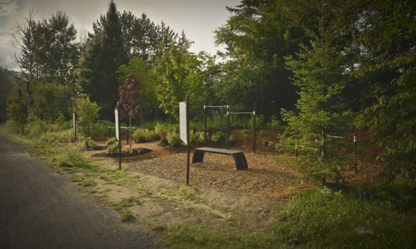 Jump Platform at Calisthenics Park at Chemin des Faucons, Piedmont – photo 1 of 1