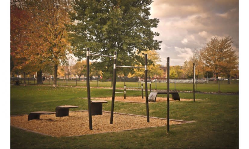 Платформа для прыжков на площадке Calisthenics Park at Rue de Brébeuf, Montréal – фото 1 из 2