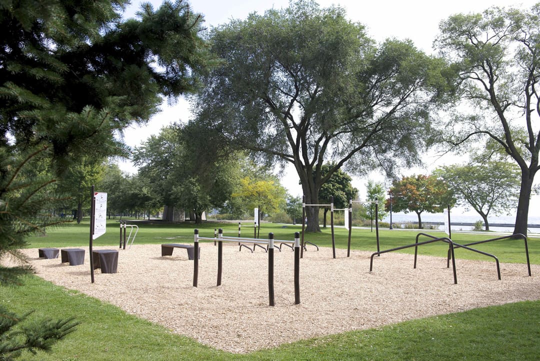 Платформа для прыжков на площадке Calisthenics Park at Waterfront Recreational Trail, Toronto – фото 1 из 1