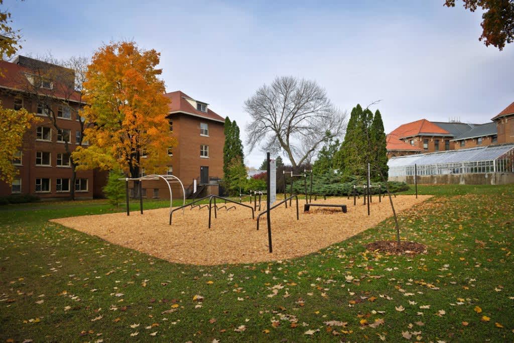 Платформа для стрибків на майданчику Calisthenics Park at McGill Macdonald Gwen Field, Sainte-Anne-de-Bellevue – фото 1 з 1