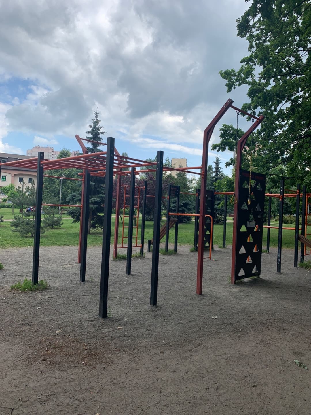 Monkey Bars at Calisthenics Park at вулиця Докії Гуменної, Київ – photo 3 of 4