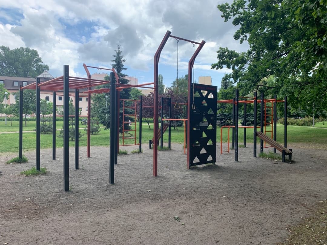 Wall Bars at Calisthenics Park at вулиця Докії Гуменної, Київ – photo 4 of 4