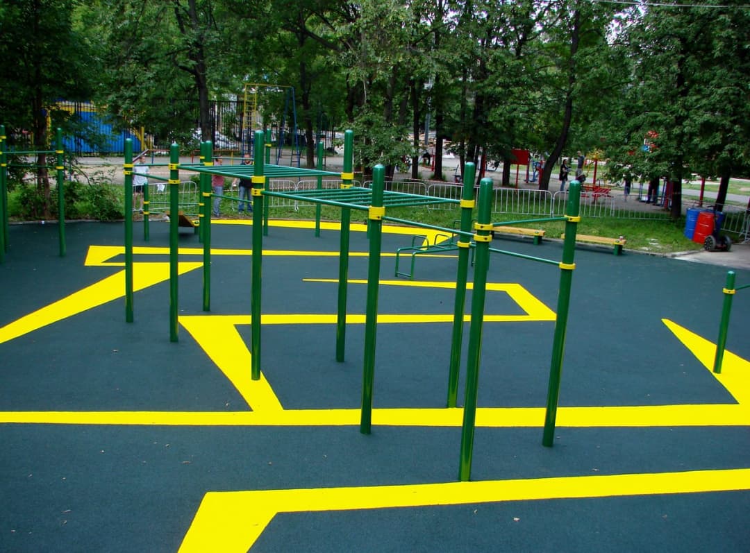 Monkey Bars at Calisthenics Park at 1-й Красногвардейский проезд, Москва – photo 3 of 3