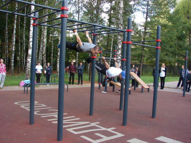 Monkey Bars la Calisthenics Park at Чайка, городской округ Рязань – fotografia 8 din 8