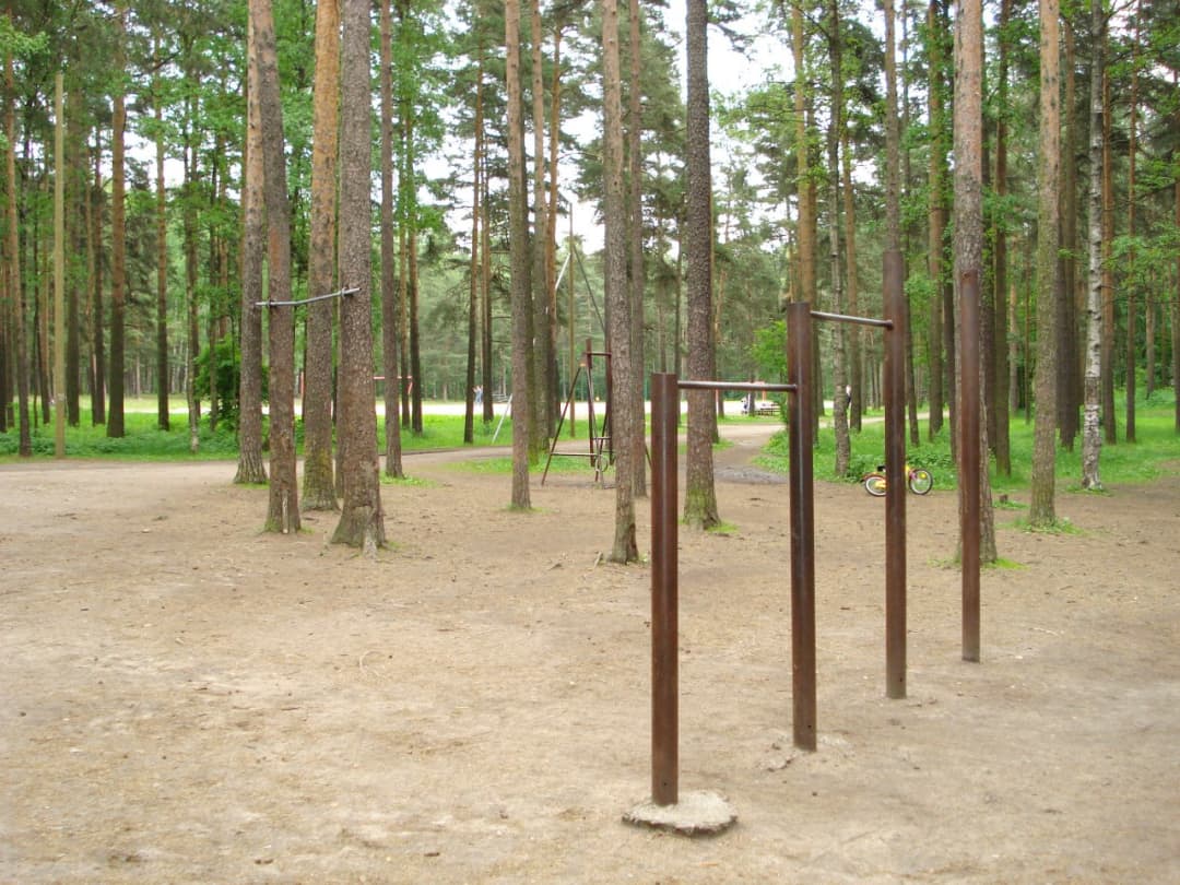 Espalier à Calisthenics Park at проспект Тореза, Санкт-Петербург – photo 4 sur 4
