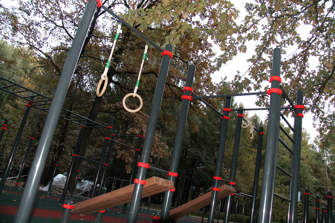 Monkey Bars at Calisthenics Park at Керамический проезд, Москва – photo 3 of 3